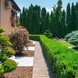 Les secrets d'un jardin bien aménagé : découvrez des astuces incontournables !