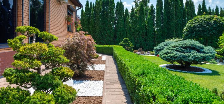 Les secrets d’un jardin bien aménagé : découvrez des astuces incontournables ! Les secrets d'un jardin bien aménagé : découvrez des astuces incontournables !