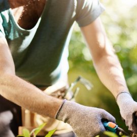 Aide à domicile pour le jardinage : quelles solutions pour les seniors ?